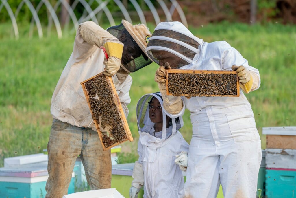 beekeeper outfit 