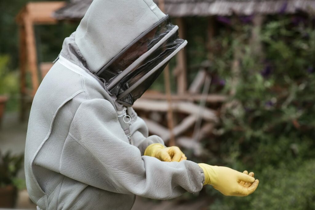 free bee removal, beekeeper 