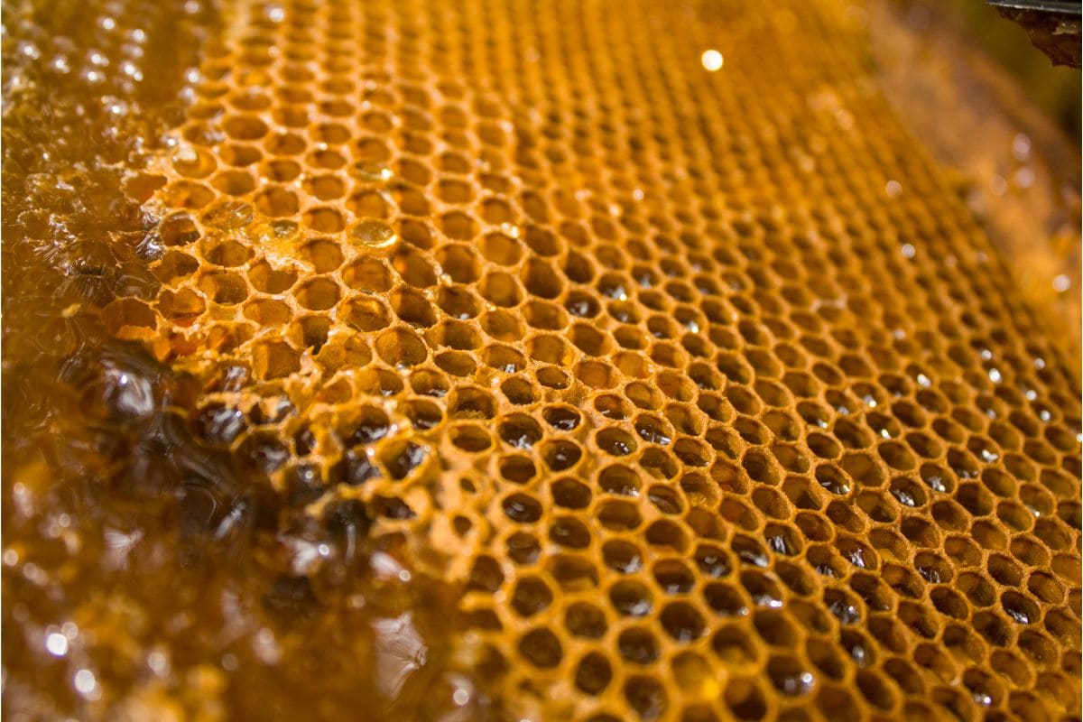 How To Get Honeycomb