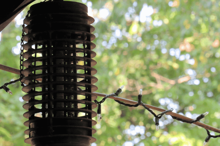 Bug zapper hanged in a garden