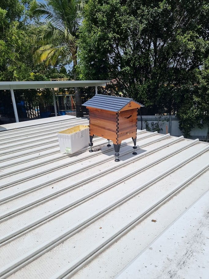 Our Rooftop Flow Hive with bees added from NUC