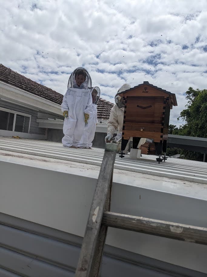 Kids checking out the roof top flow hive